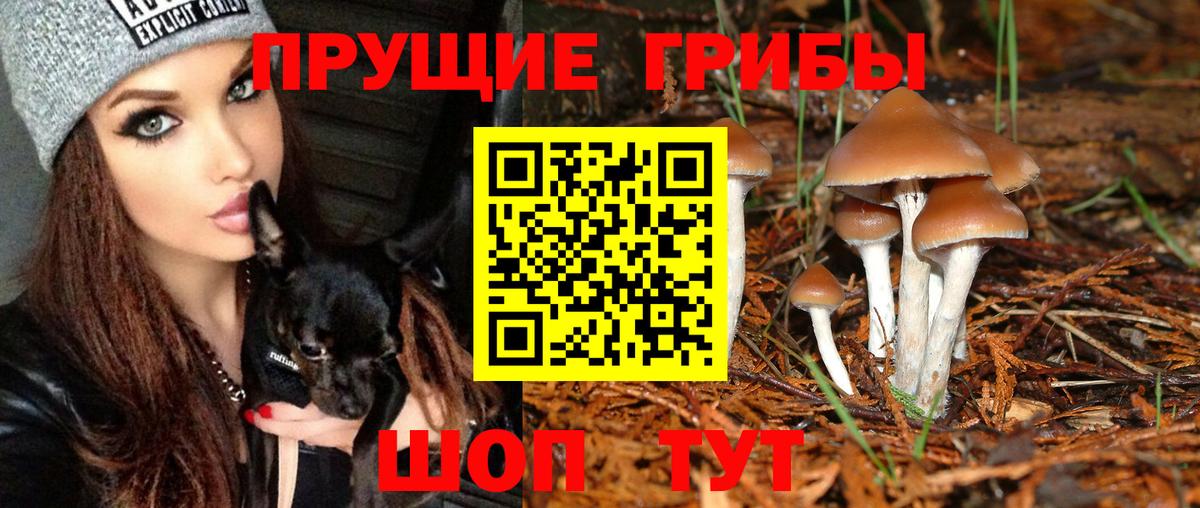 Когалым  где купить наркотик  Вход с VPN  Псилоцибиновые грибы прущие грибы 